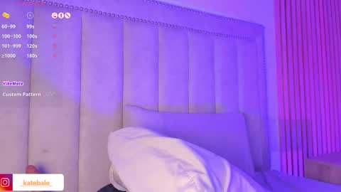 Snapshot of kateryn_bale chatting on 02/22/25, 11:24 kateryn_bale online show from 02/22/25, 11:24