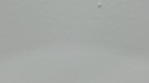 katy blonde girl and paola big boobs online show from 12/24/24, 05:02