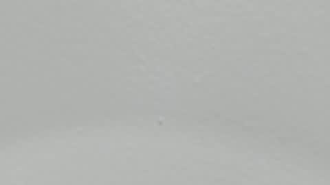 katy blonde girl and paola big boobs online show from 01/09/25, 02:01