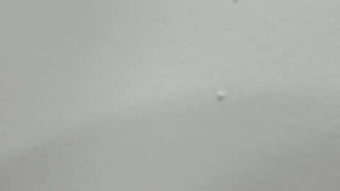 katy blonde girl and paola big boobs online show from 02/12/25, 01:52