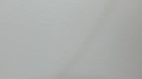 katy blonde girl and paola big boobs online show from 02/13/25, 07:21