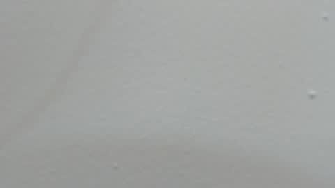 katy blonde girl and paola big boobs online show from 02/14/25, 07:44