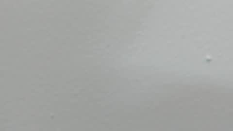 katy blonde girl and paola big boobs online show from 02/18/25, 08:03