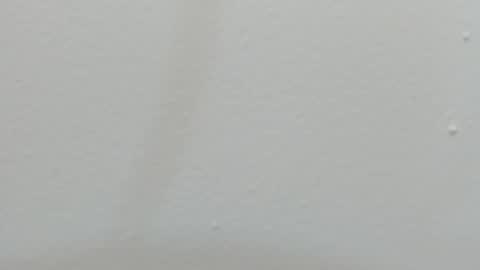 katy blonde girl and paola big boobs online show from 02/26/25, 07:38