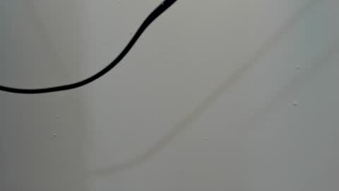 katy blonde girl and paola big boobs online show from 03/03/25, 08:00