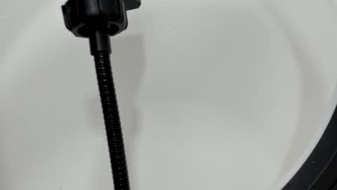 katy blonde girl and paola big boobs online show from 09/26/25, 07:29