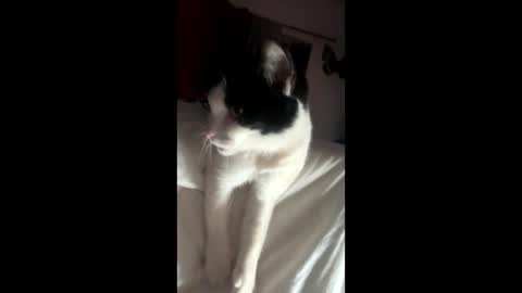 kay_la online show from 10/04/25, 10:13