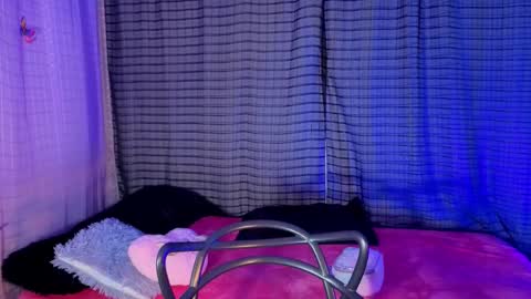 Kaylee online show from 11/19/25, 07:14