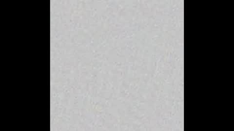 Kay Pup online show from 11/19/25, 09:31