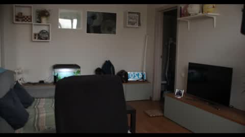 Kev online show from 02/17/25, 12:05