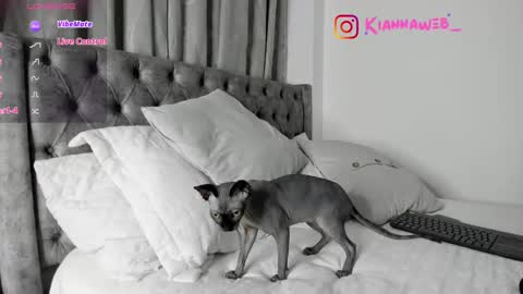 Snapshot of kiianna__ chatting on 02/28/25, 03:48 INSTAGRAM Kiannaweb online show from 02/28/25, 03:48