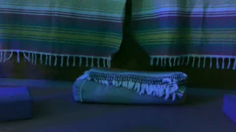 Kim online show from 10/13/25, 12:49