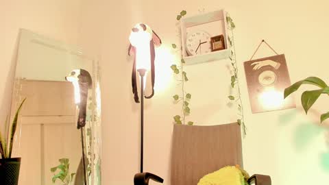 Kimm online show from 01/14/25, 07:38