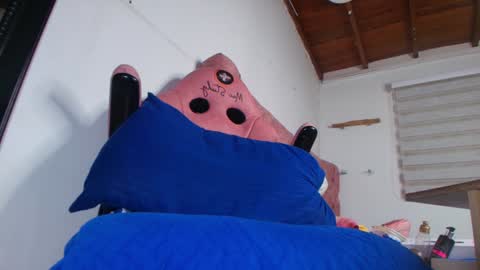 Bella online show from 01/21/25, 03:04