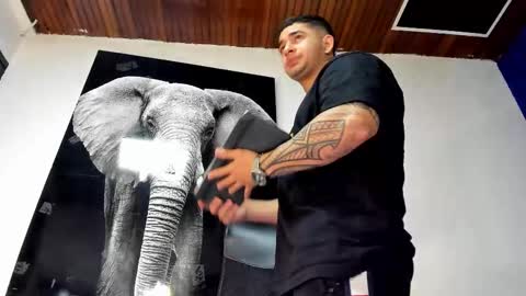 Snapshot of king_falconer chatting on 11/02/25, 12:35 Angel Falconer online show from 11/02/25, 12:35