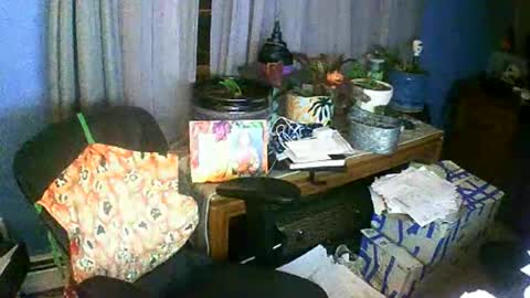 Snapshot of kingandqueenjanky chatting on 10/26/25, 09:59 Janky online show from 10/26/25, 09:59