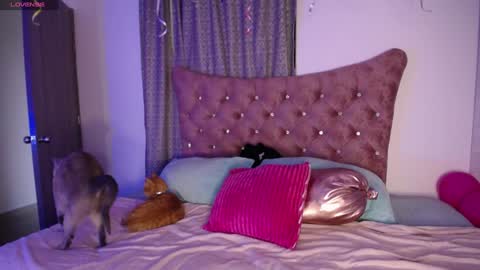 Snapshot of kinkydoll_ chatting on 12/11/24, 10:16 Sara online show from 12/11/24, 10:16