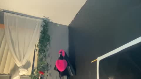 Snapshot of kinkykittee chatting on 01/02/25, 11:41 Bunniii online show from 01/02/25, 11:41