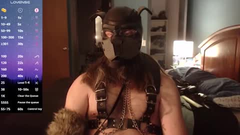 Snapshot of kinkywolf87 chatting on 01/20/25, 01:18 kinkywolf87 online show from 01/20/25, 01:18