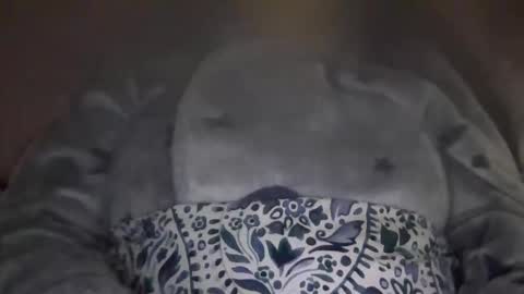 kissandtell1357 online show from 10/24/25, 06:48