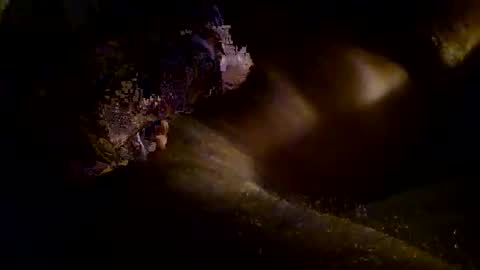 Snapshot of kitkat_loco1 chatting on 11/03/25, 09:54 Kitkat loco online show from 11/03/25, 09:54