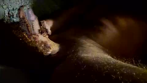 Snapshot of kitkat_loco1 chatting on 11/04/25, 07:40 Kitkat loco online show from 11/04/25, 07:40