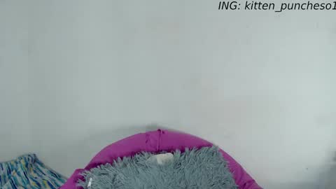 Snapshot of kitten_punches01 chatting on 09/28/25, 02:39 kitten_punches01 online show from 09/28/25, 02:39