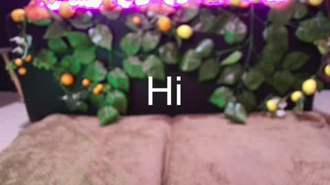 Kitty online show from 10/31/25, 02:45