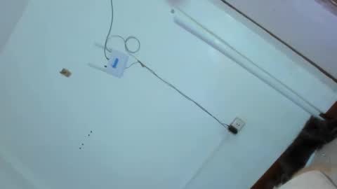 Grace online show from 02/25/25, 02:47