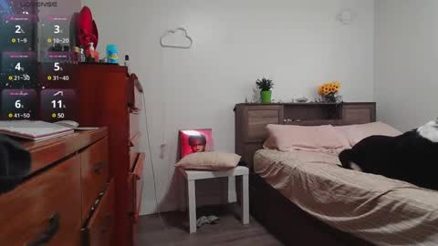 Snapshot of kittyymaze chatting on 12/03/24, 01:43 Kittyymaze online show from 12/03/24, 01:43