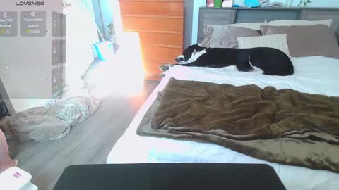 Snapshot of kittyymaze chatting on 01/14/25, 04:50 Kittyymaze online show from 01/14/25, 04:50