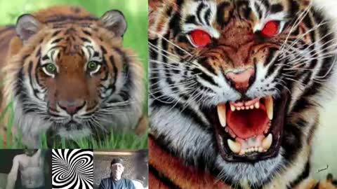 Snapshot of kodiakpm1 chatting on 12/03/24, 08:38 kodiakpm1 online show from 12/03/24, 08:38