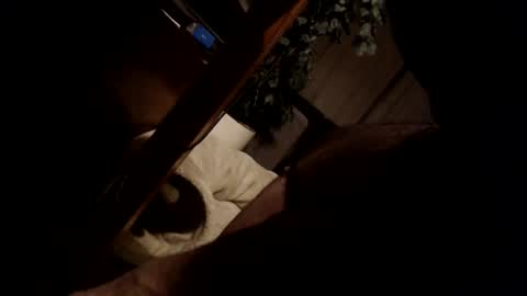 Snapshot of koekerdt chatting on 01/31/25, 11:35 koekerdt online show from 01/31/25, 11:35