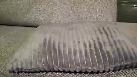 Snapshot of koelie1982 chatting on 01/22/25, 01:10 koelie1982 online show from 01/22/25, 01:10