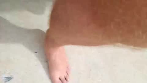 kramit1222 online show from 09/24/25, 04:43