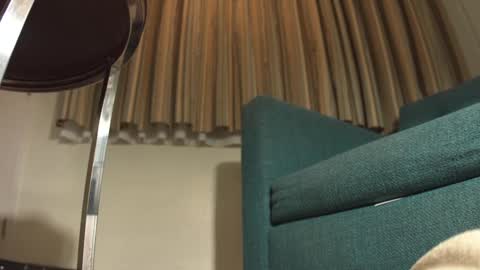 lacub online show from 02/19/25, 07:17