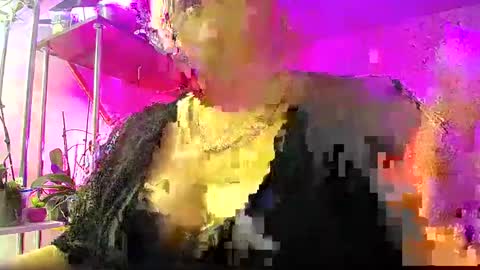 Snapshot of lady_gloria chatting on 01/04/25, 03:40 Lady Gloria online show from 01/04/25, 03:40