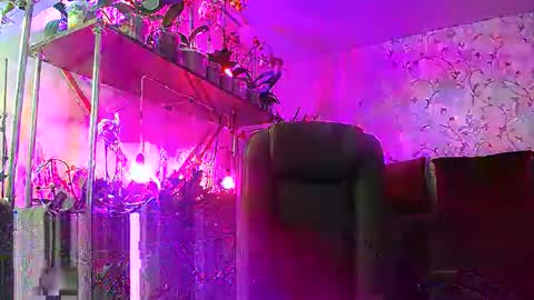 Snapshot of lady_gloria chatting on 02/15/25, 12:54 Lady Gloria online show from 02/15/25, 12:54