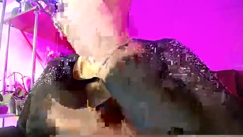 Snapshot of lady_gloria chatting on 02/16/25, 04:53 Lady Gloria online show from 02/16/25, 04:53