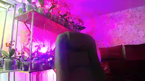 Snapshot of lady_gloria chatting on 03/05/25, 12:11 Lady Gloria online show from 03/05/25, 12:11