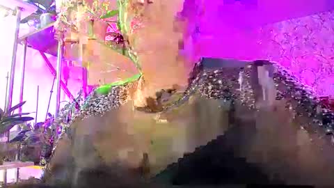 Snapshot of lady_gloria chatting on 10/25/25, 07:38 Lady Gloria online show from 10/25/25, 07:38