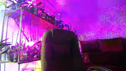 Snapshot of lady_gloria chatting on 11/02/25, 05:21 Lady Gloria online show from 11/02/25, 05:21