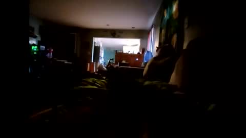 lambofgod90_ online show from 11/24/25, 03:34