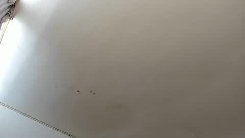 Lara online show from 10/23/25, 03:44