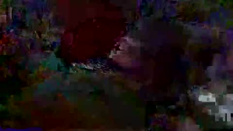 larry_125 online show from 11/23/25, 02:28