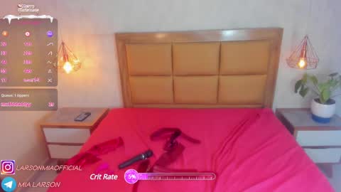 Snapshot of larsonmia chatting on 12/30/24, 03:35 MIA online show from 12/30/24, 03:35