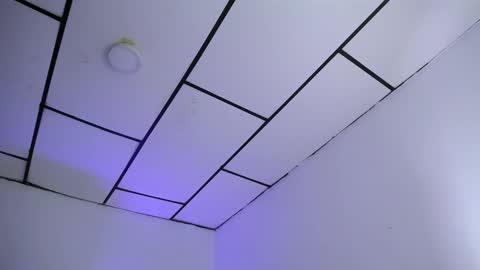 LAURA online show from 01/28/25, 01:08