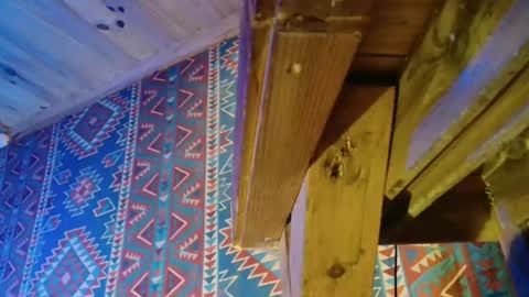 Dliciousman online show from 12/23/24, 05:43