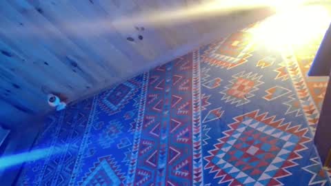 Dliciousman online show from 02/20/25, 10:37