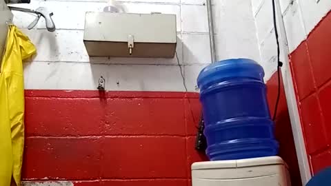 Snapshot of lelefiel chatting on 01/17/25, 03:23 Pequeno Urso online show from 01/17/25, 03:23